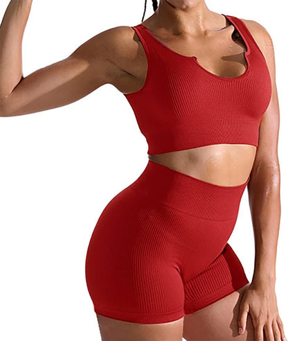Women's 2-Piece Seamless Ribbed Sports Bra and Tight Shorts Fitness Outfit for Yoga and Gym Activities